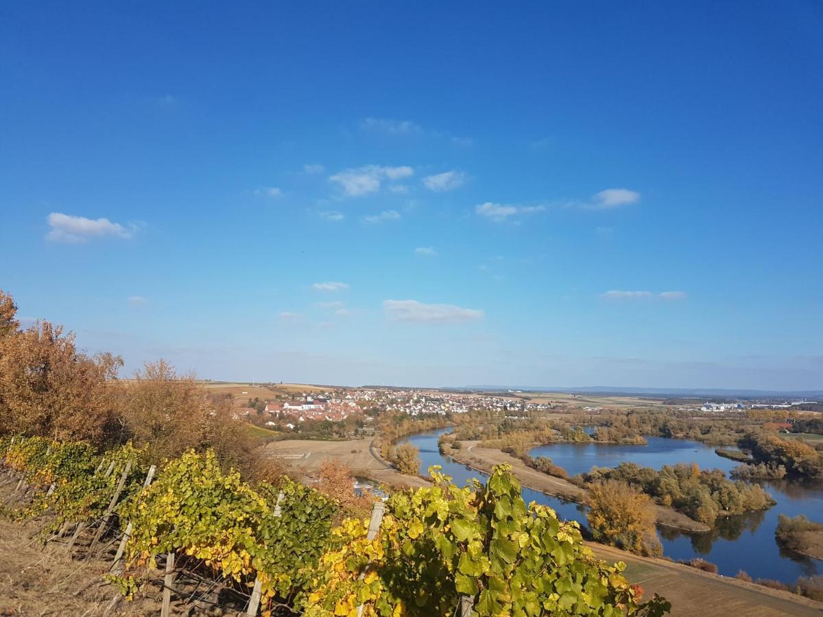 Aparthotel Alte Schmiede Деттельбах Экстерьер фото